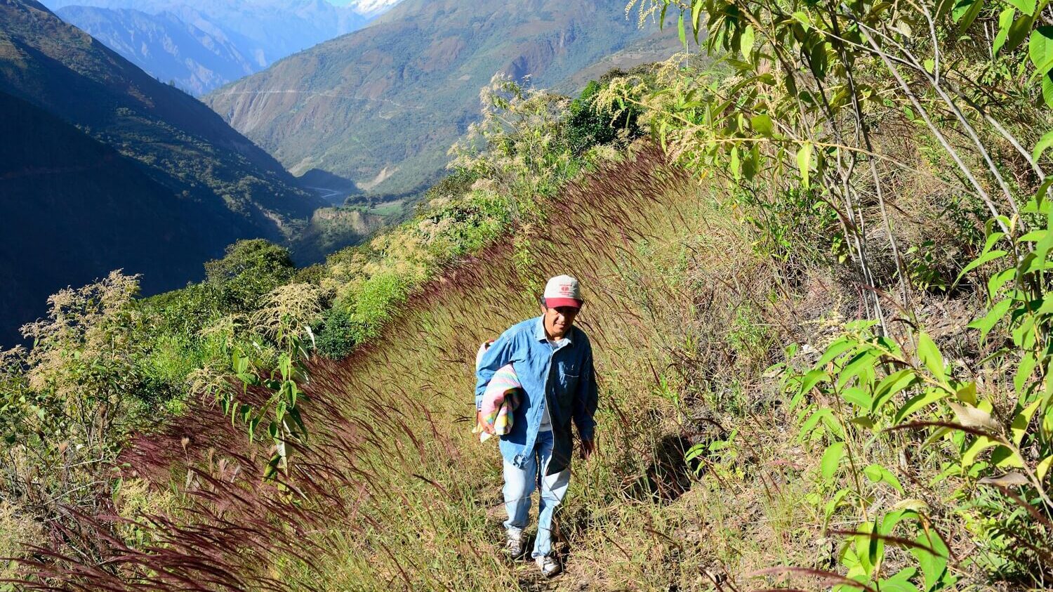 Alejandro the coffee farmer walking you up to his coffee plantations - RESPONSible Travel Peru