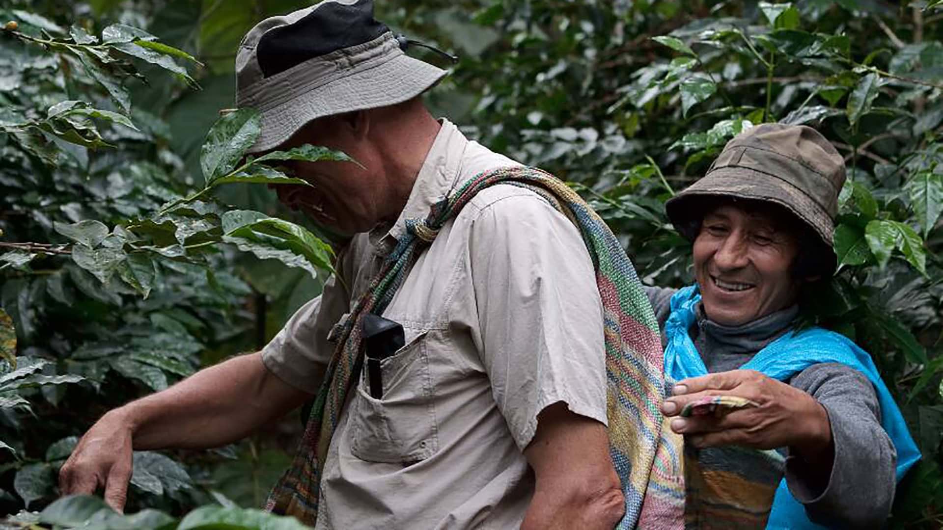 Tourist learning about harvesting coffee beans and making coffee on the Coffee Route to Machu Picchu - RESPONSible Travel Peru