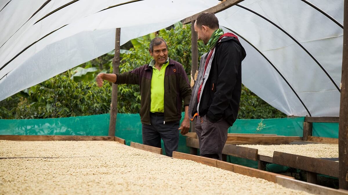 Enrique and Alejandro check out the drying coffee beans - Coffee Route - RESPONSible Travel Peru