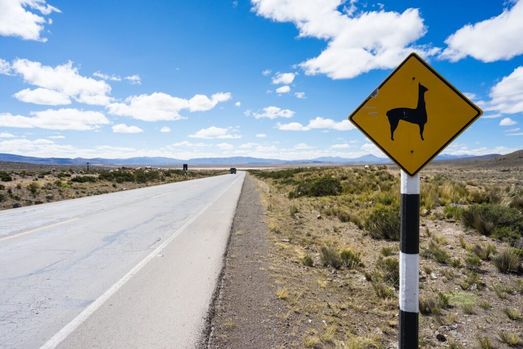 Sign of crossing lama's on the route from Arequipa to the Colca Canyon - RESPONSible Travel Peru