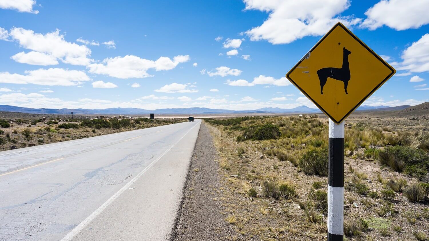 Sign of crossing lama's on the route from Arequipa to the Colca Canyon - RESPONSible Travel Peru