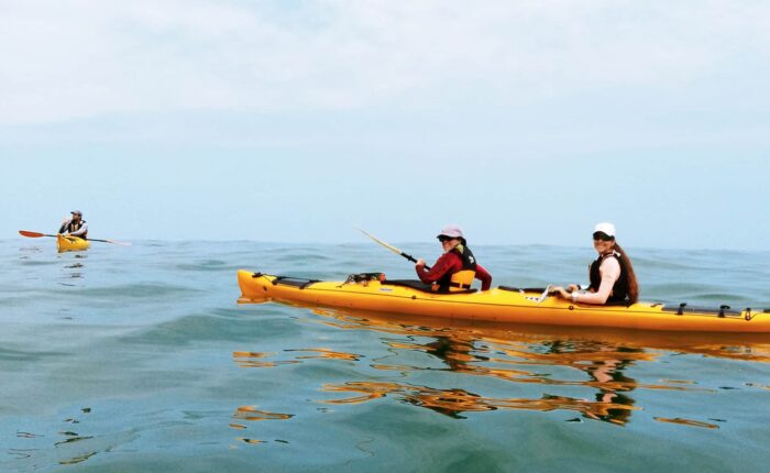 Two kayaks in open sea in Paracas | Responsible Travel Peru
