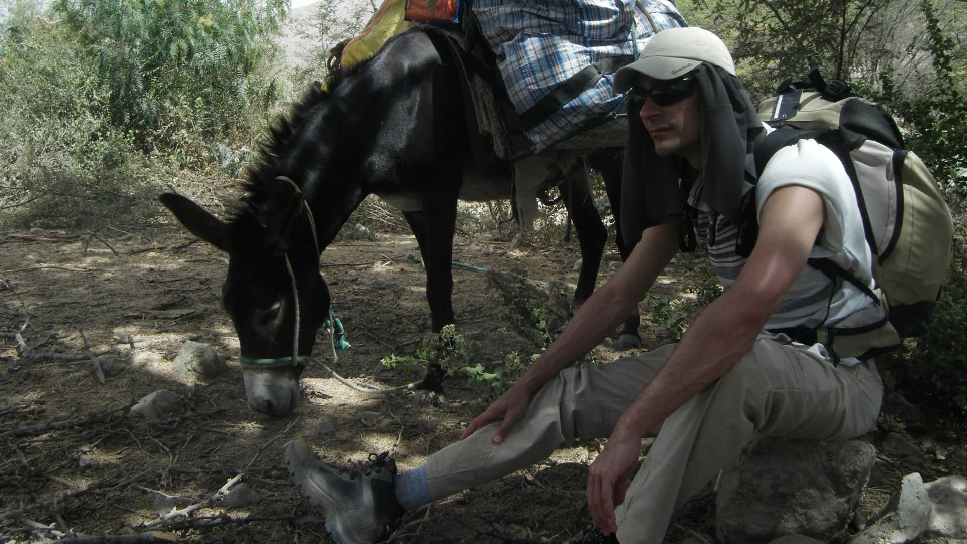 Traveler resting next to the pack donkey | Responsible Travel Peru