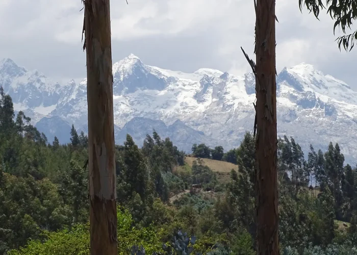 Spectacular view of the snow-capped mountains of the Cordillera Blanca from the community of Vicos | Impactful Travel Peru