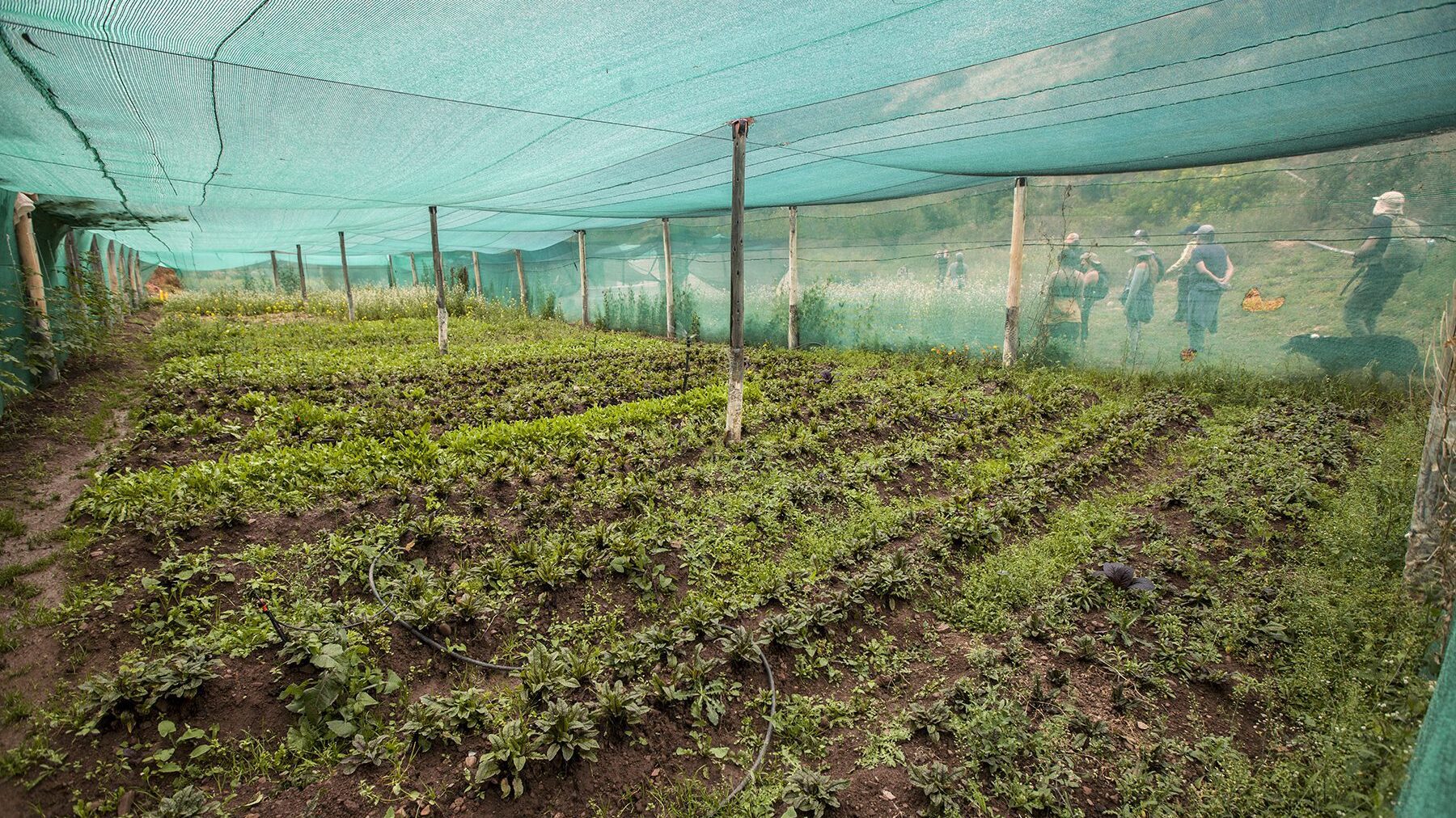 The Huyllafara Community Greenhouse | Responsible Travel Peru