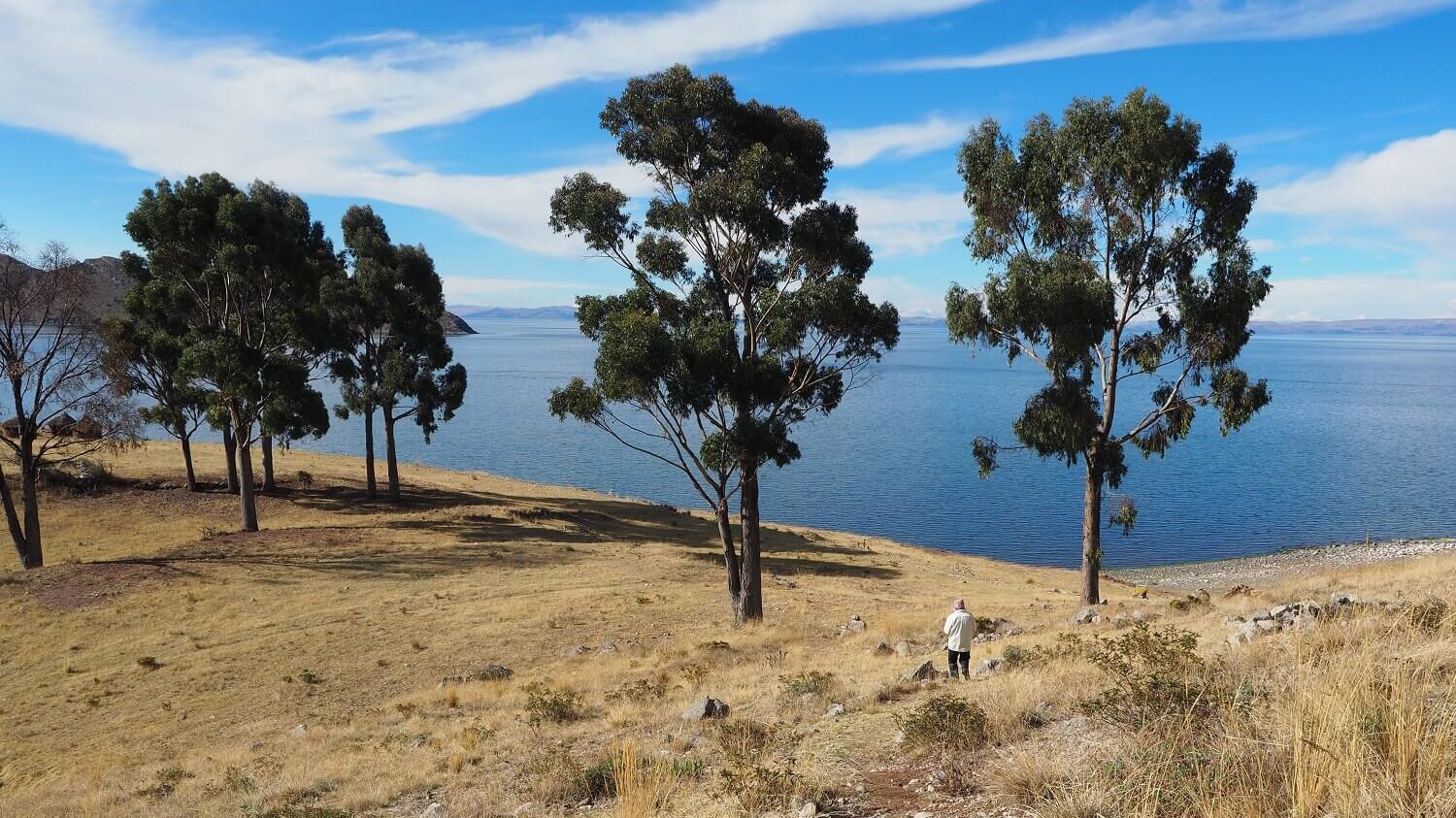 Visiting the uninhabited island of Tikonata, Lake Titicaca | RESPONSible Travel Peru