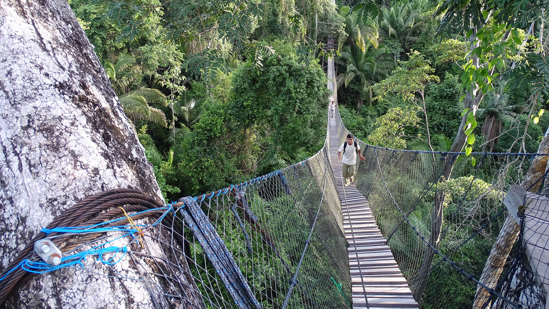 Dos personas cruzando la pasarela (puente) en Bello Horizonte - Tambopata | Responsible Travel Peru