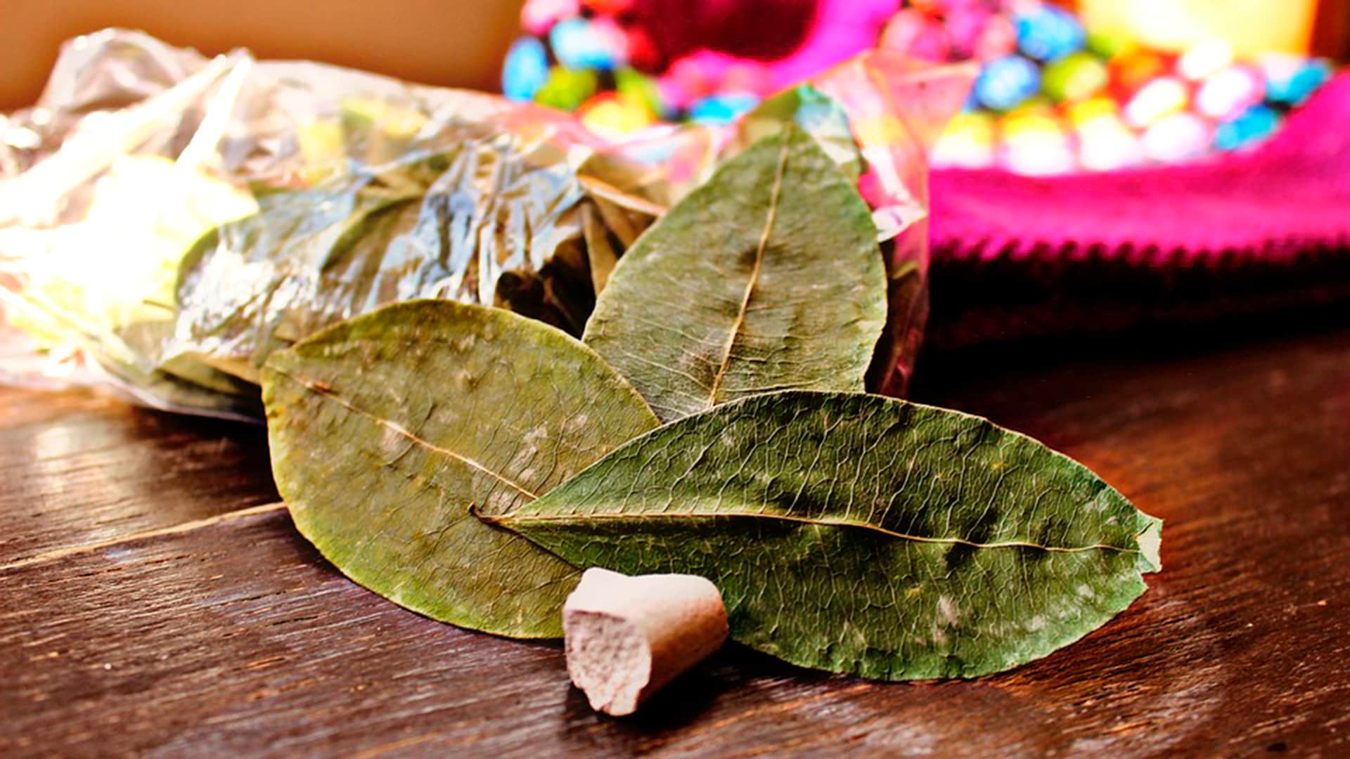 coca leaf kintu