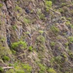 Steep lesser Inca trail in arid mountain slope | Impactful Travel Peru