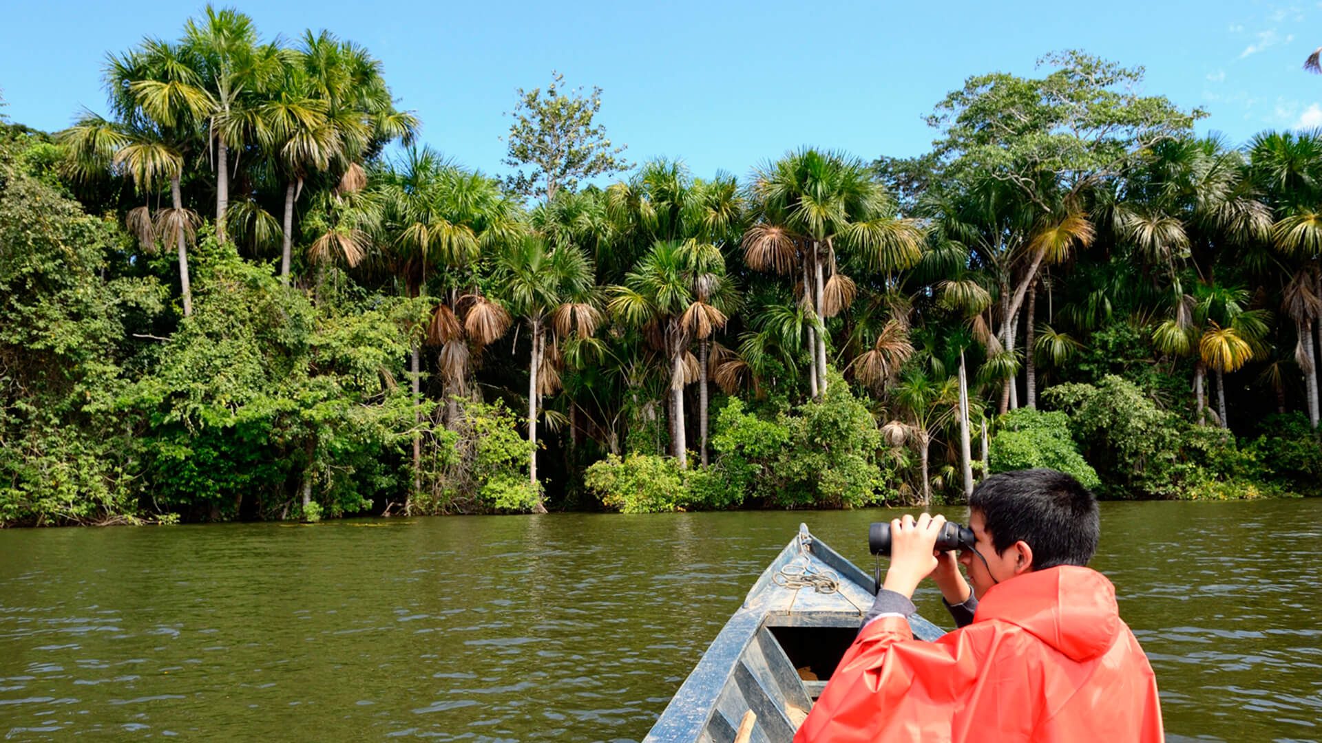 Man with binoculars on a boat in Sandoval lake - Tambopata National Reserve | Responsible Travel Peru