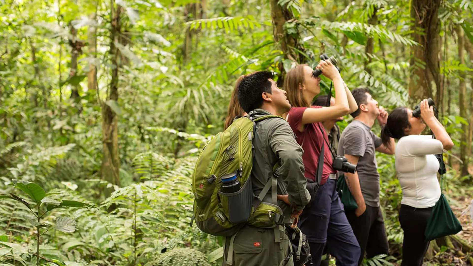 A group of people spotting with binoculars at the canopy of lower Manu jungle | Responsible Travel Peru