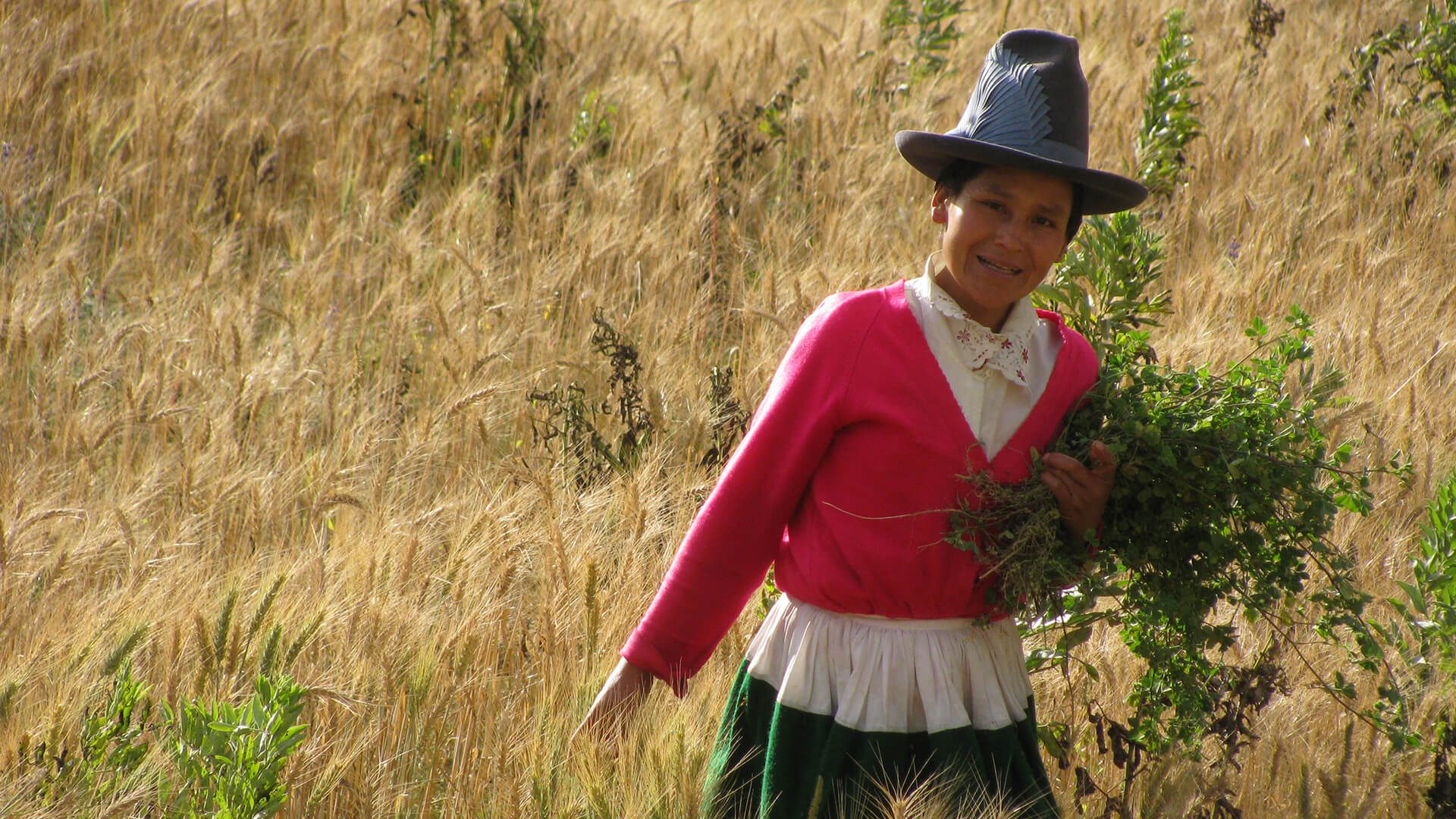 Lucy harvesting herbs in the Vicos praire | RESPONSible Travel Peru