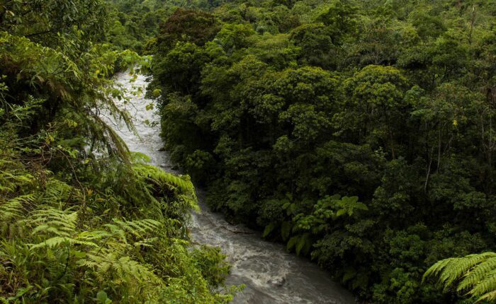 Lush cloud forest and river flowing down to Manu plains | RESPONSible Travel Peru