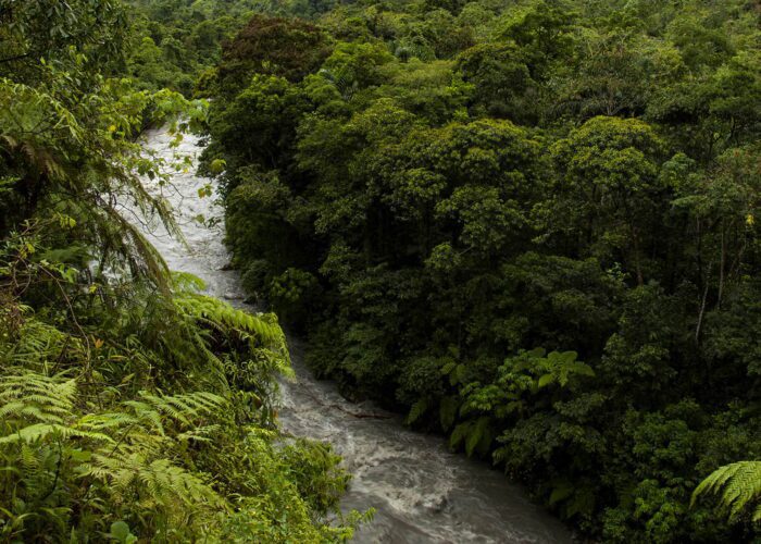 Lush cloud forest and river flowing down to Manu plains | RESPONSible Travel Peru