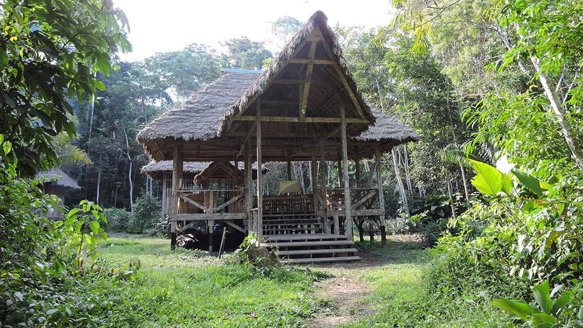 Pankotsi lodge belongs to the Shipetiari Matsigenka community in Manu | Responsible Travel Peru