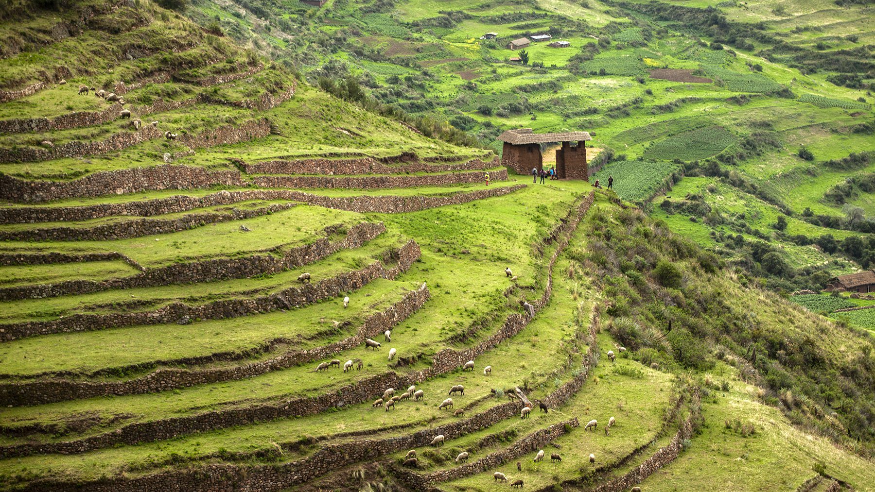 Spectacular Inca terraces and in the background you can see the entrance door to the archaeological complex of Huchuy Qosqo | Responsible Travel Peru