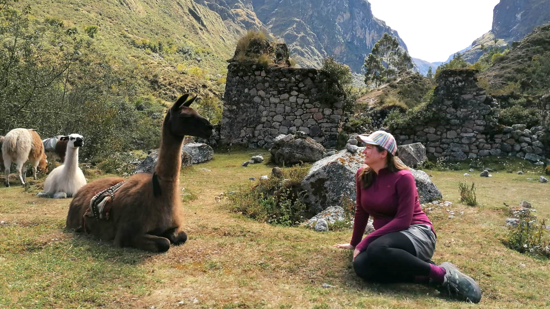 Llama and hiker resting at ruins in mountain landscape