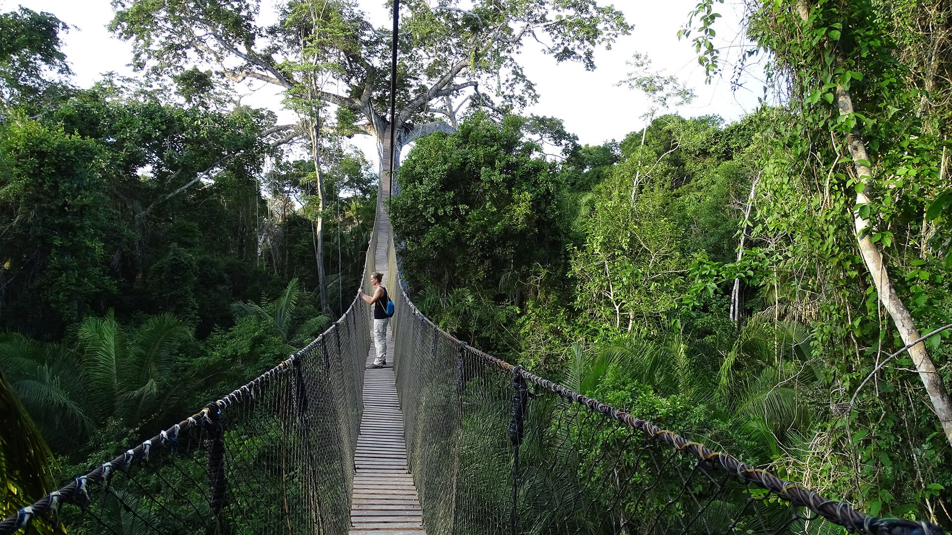 Agnes on the canopy bridge, on her way to joining the birds in the treetops. | Amazon tours with Impactful Travel