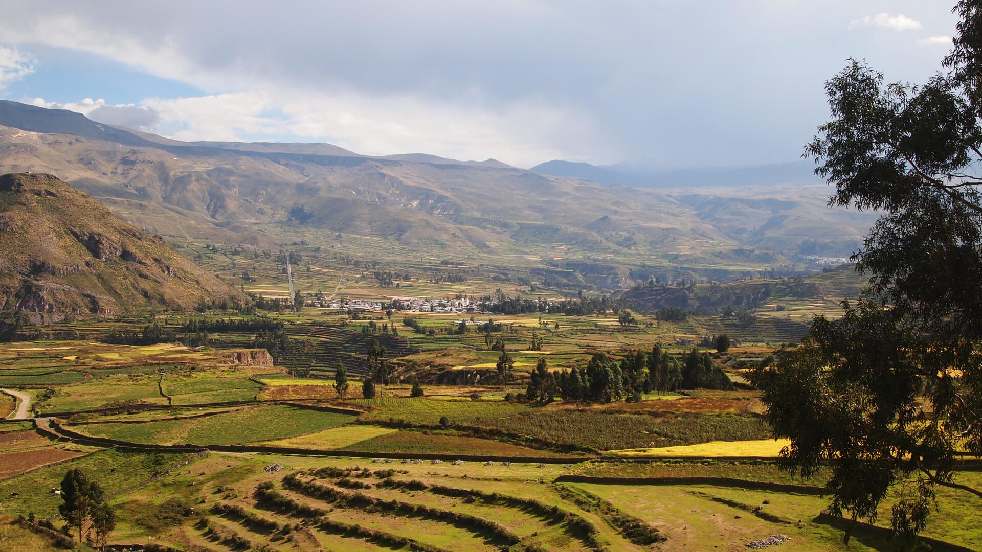 Colca Valley Panoramic View