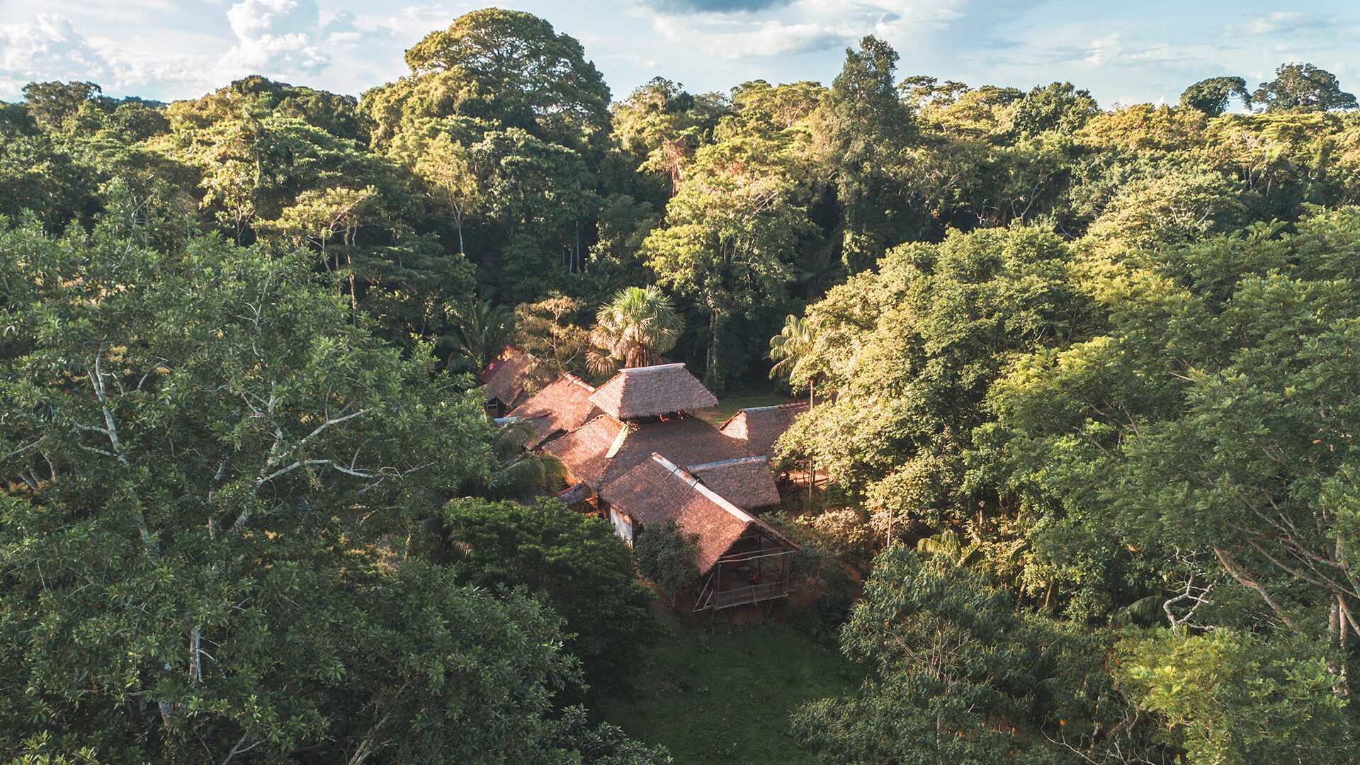 Aerial view of the Lodge in the middle of the jungle