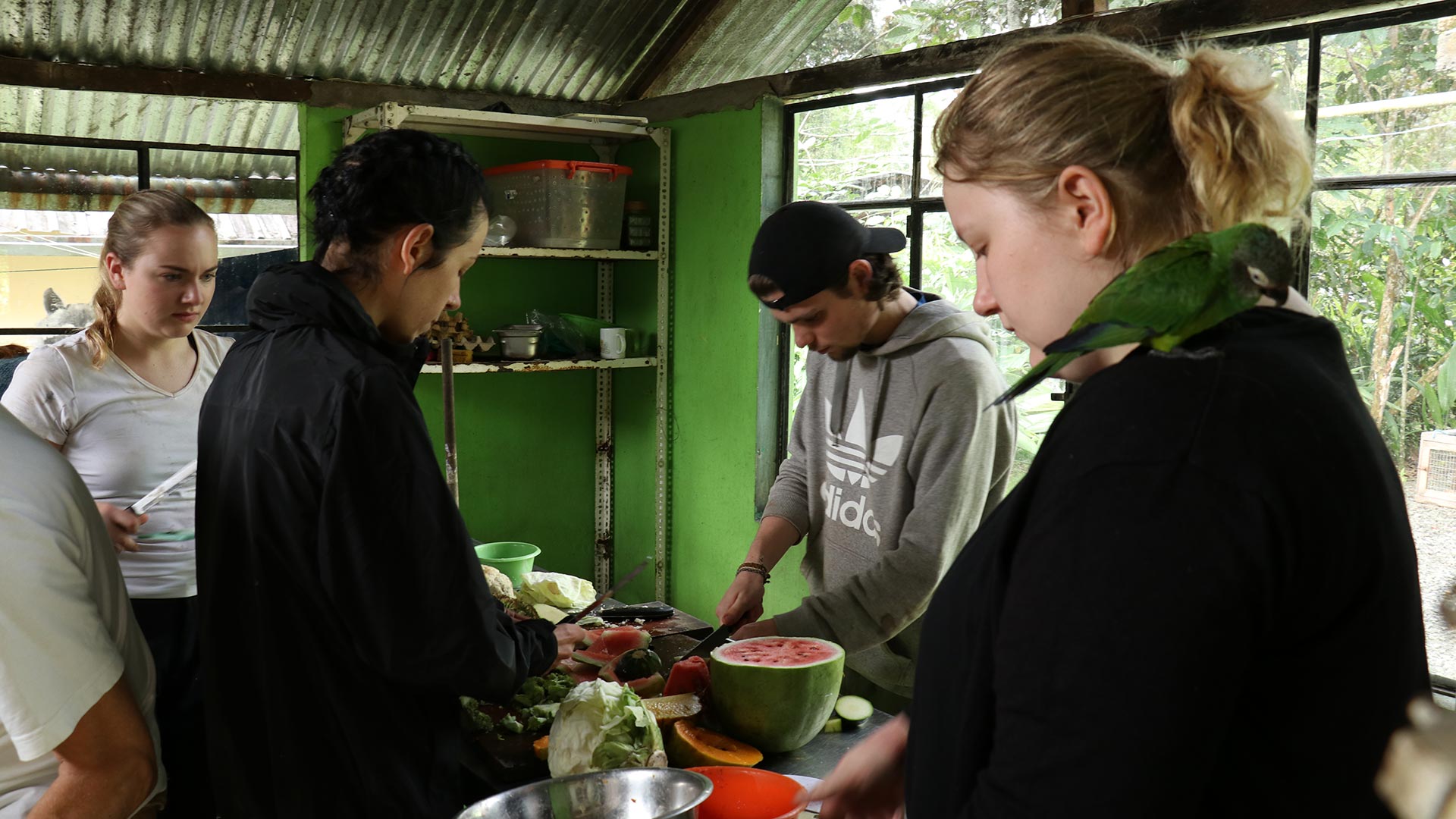Volunteers preparing food for rescued animals at the Yanacocha Animal Rescue Center in Puyo, Ecuador. | Impactful Travel
