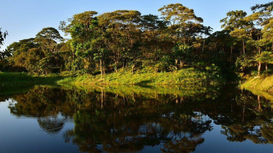 Learn about Amazon Permaculture and explore the Ecuadorian jungle with Impactful Travel in Ecuador