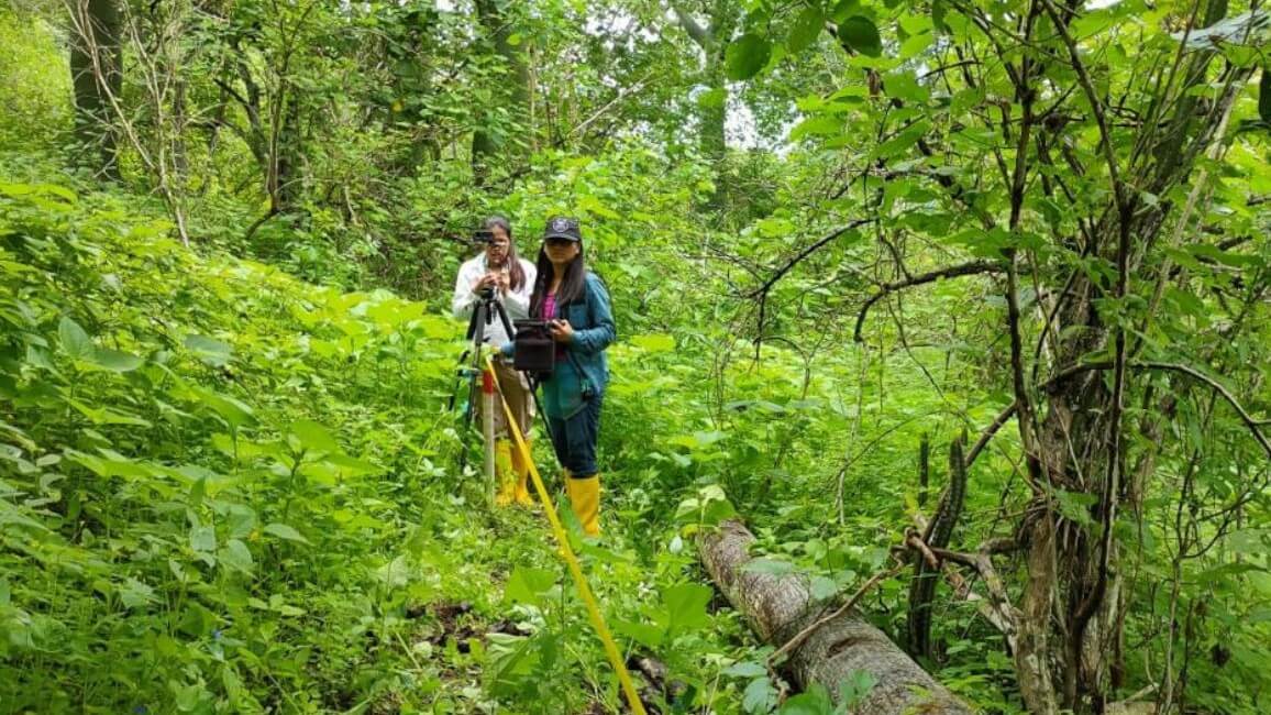 Ongoing regeneration and conservation works in the forests around Puerto Lopez at the coast of Ecuador. These are supported by the tours that you can also book at Impactful Travel in Ecuador