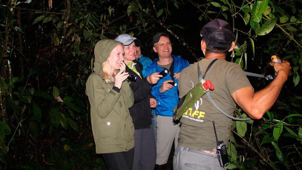 Travelers laughing at their guide whilst on a night walk in the jungle