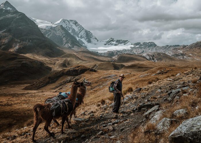 Man and llamas against the impressive backdrop of the Cordillera Blanca in Northern Peru. | Llama Trek Olleros to Chavin with RESPONSible Travel Peru | Photo by Bjorn Snelders