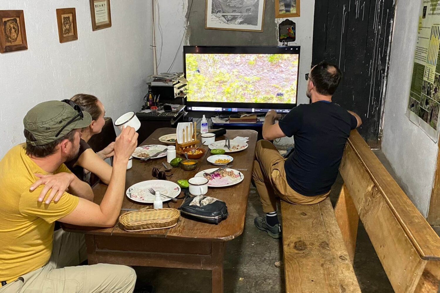 At the start of the Andean Bear Conservation Tour and whilst enjoying lunch, Danilo will show a documentary made of his work, that will give amazing insights in the life of the Andean bears and why it's so important to protect their habitat. | Impactful Travel in Ecuador.